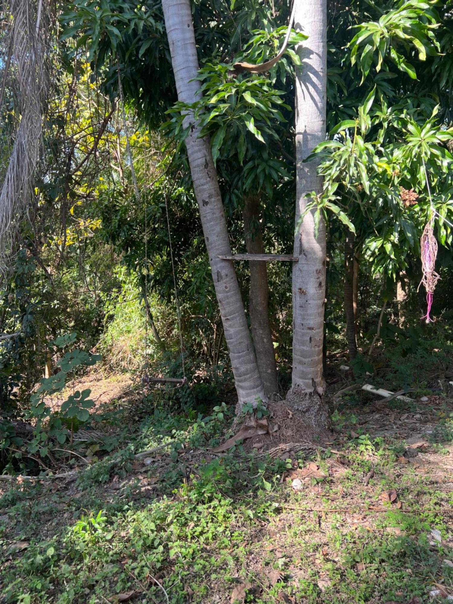 Hotel Ceres - Leao Da Montanha 14 Cuiabá Zewnętrze zdjęcie